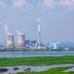 Alternatywne źródła tłuszczu: zdrowe opcje dla Twojej diety